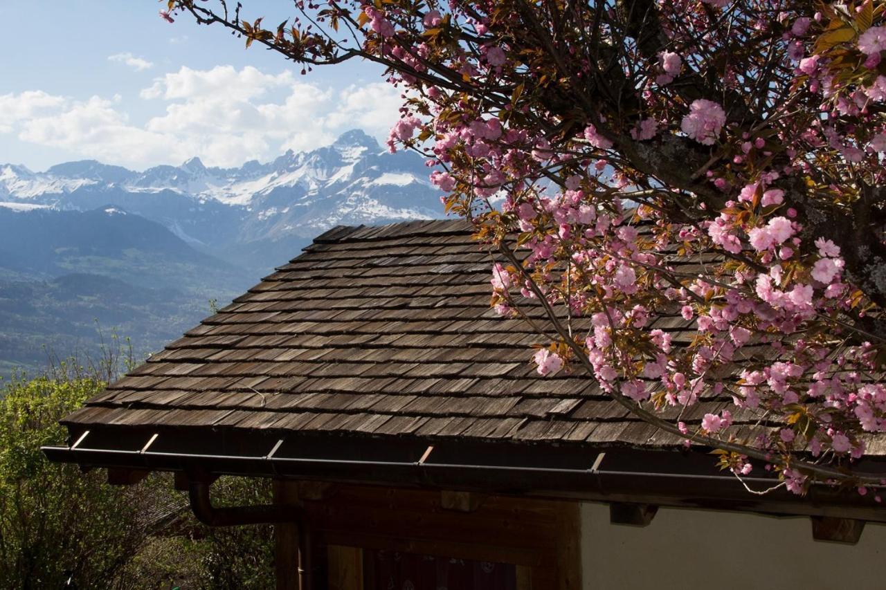 Chalet Cosy Proche Tramway Du Mont-Blanc Et Centre Сен-Жерве-Ле-Бэн Экстерьер фото